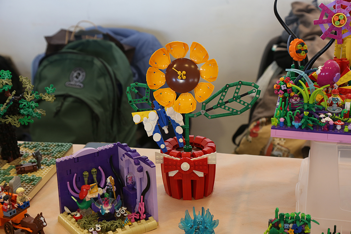 LEGO mattoncini in festa_101.jpg